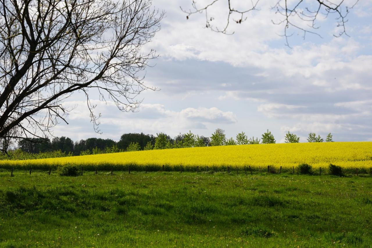 La Grange De Felicie Bed & Breakfast Charrey-sur-Saone Bagian luar foto